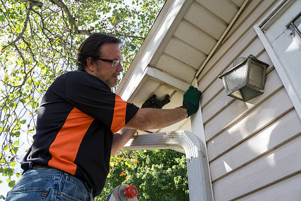 Best Storm Damage Siding Repair  in Malvern, IA